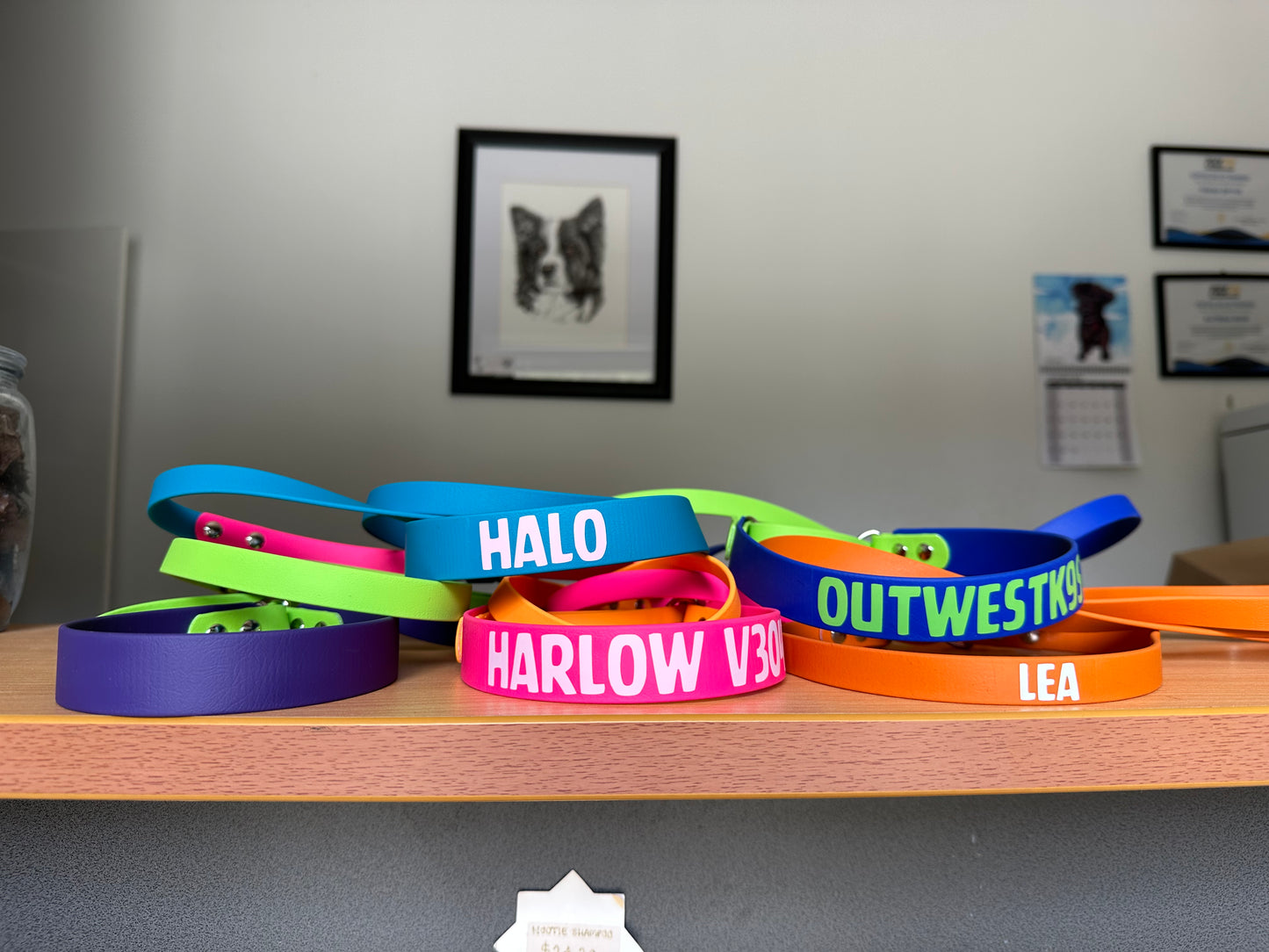 BioThane Martingale Lead - a collar and lead in one!!