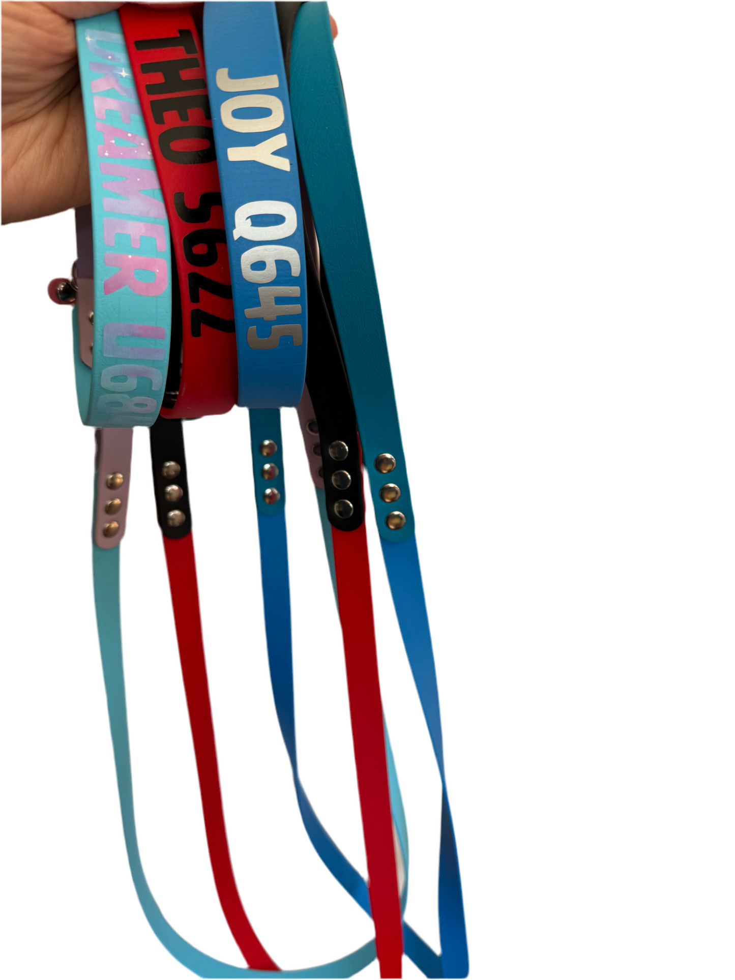 BioThane Martingale Lead - a collar and lead in one!!