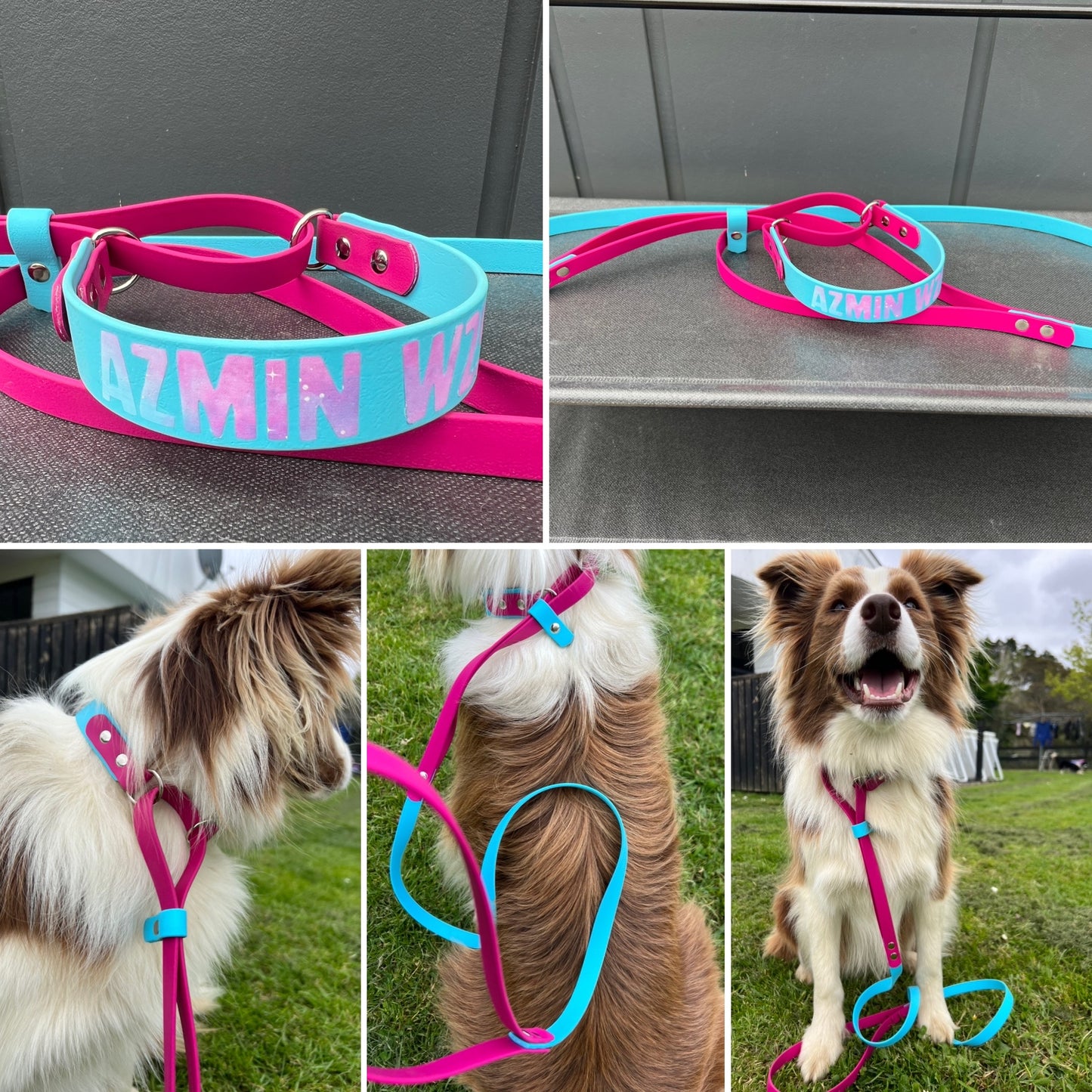 BioThane Martingale Lead - a collar and lead in one!!-Accessories-Shine Canine-Collar 16mm-Lead 13mm-Shine Pets