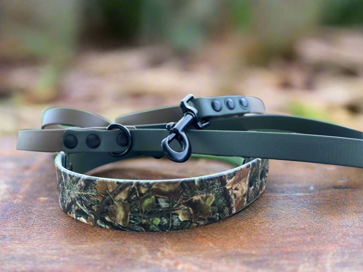 BioThane Custom Buckle UV Printed Dog Collar WITH ACCENT 🤩