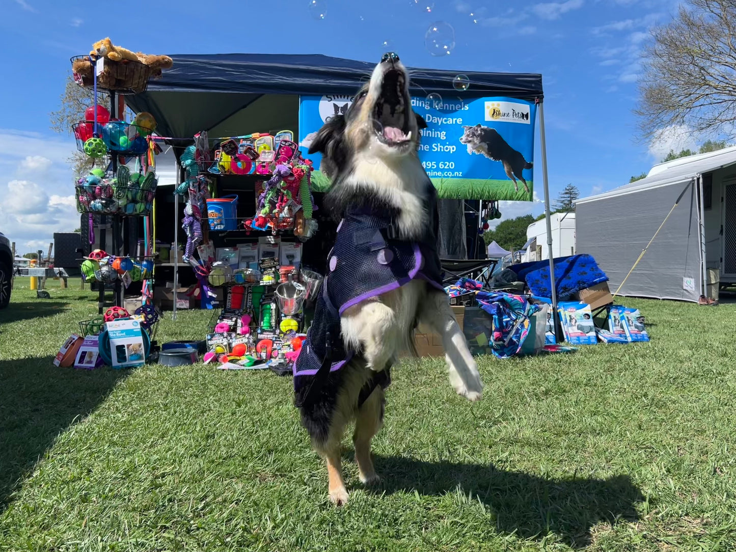Dog Bubbles by Scoop Dog