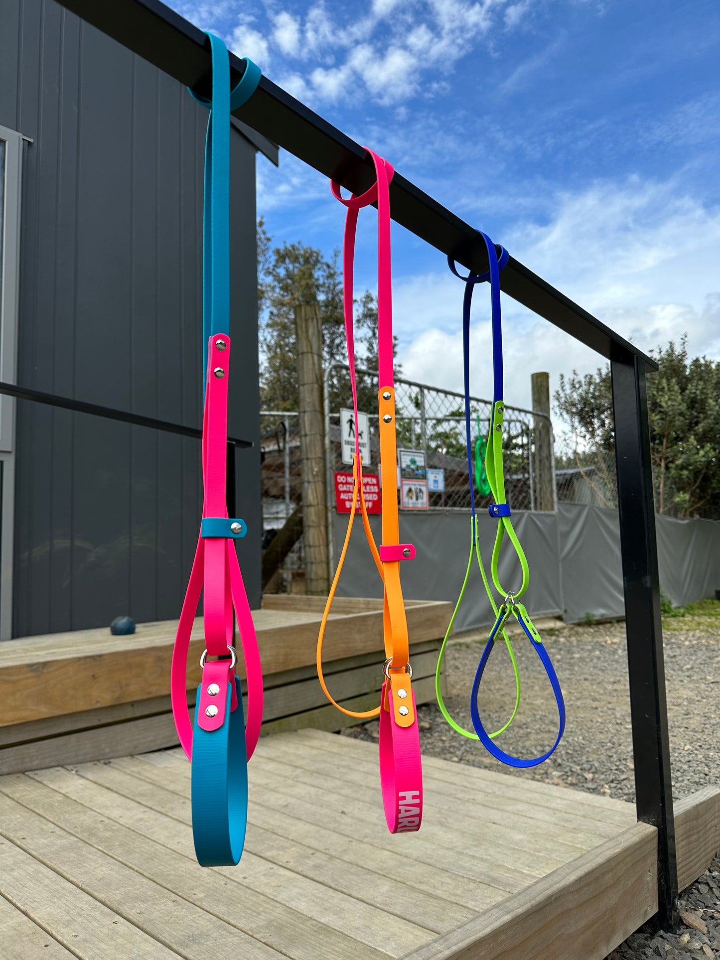 BioThane Martingale Lead - a collar and lead in one!!
