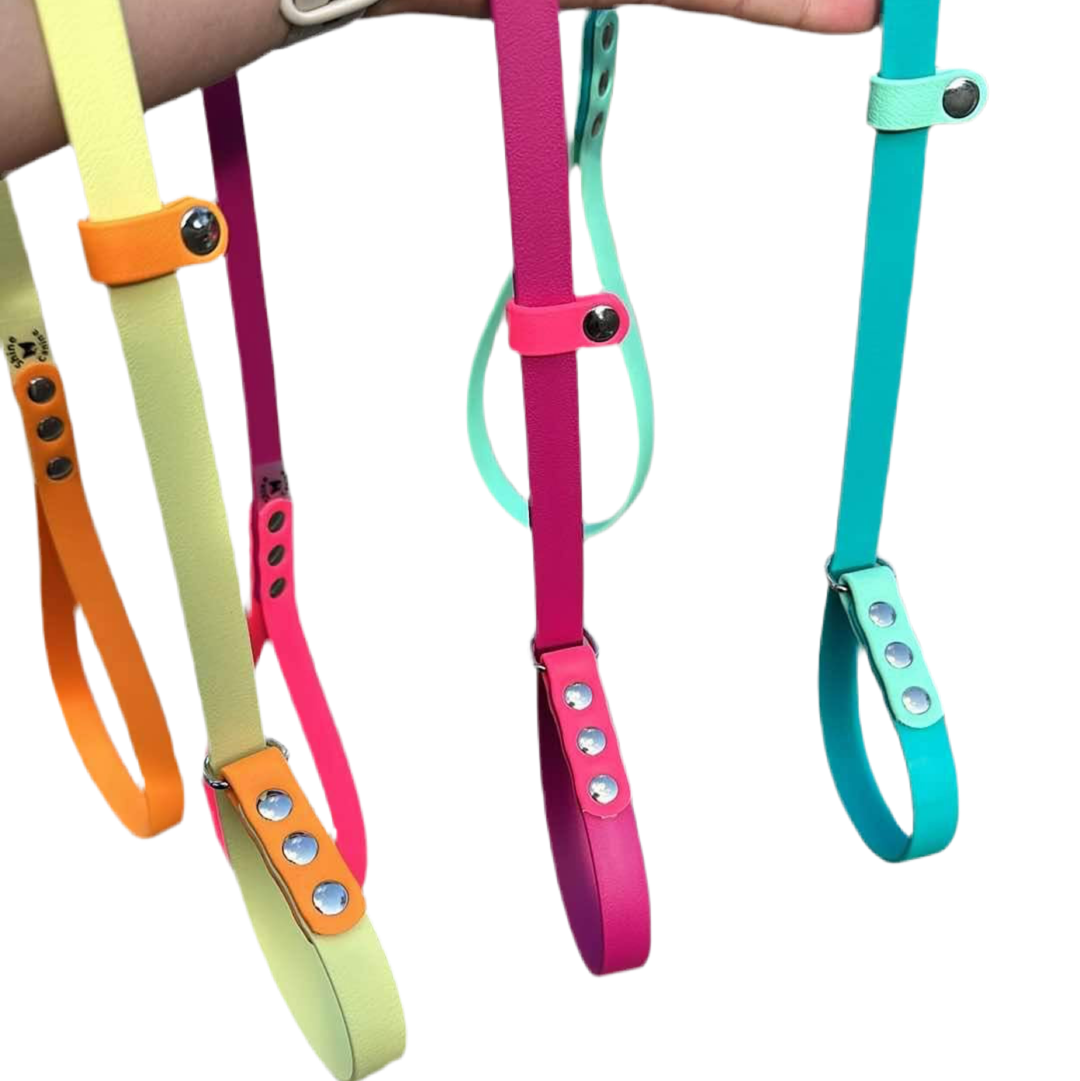 BioThane Dog Slip Lead-Accessories-Shine Canine-1.2m-13mm-Shine Pets