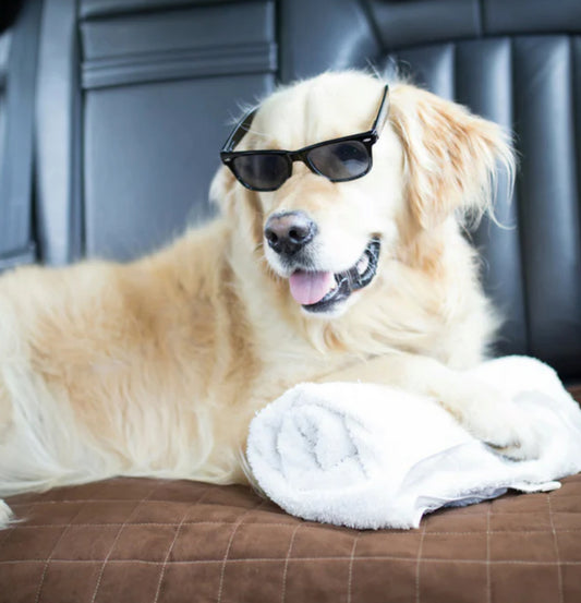 Waterproof Car Seat or Couch Cover-Accessories-Brolly Sheets-Black-Shine Pets