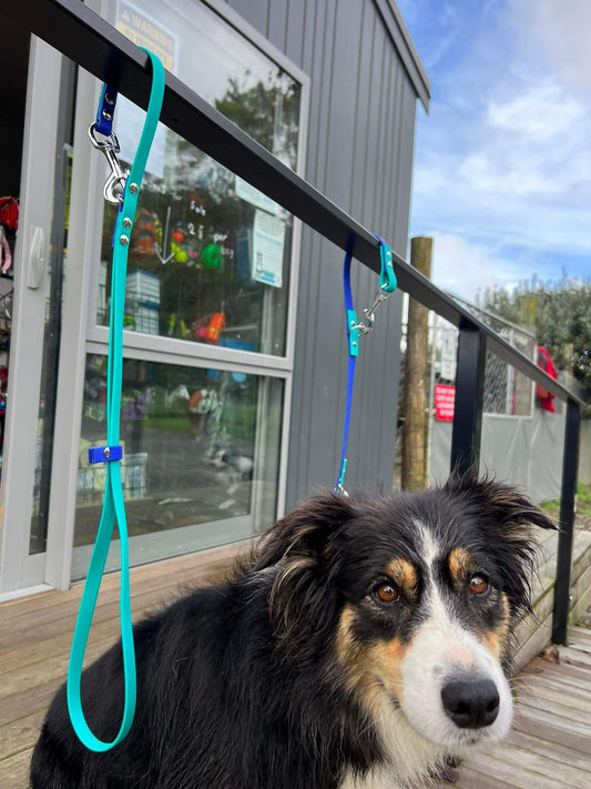 Custom BioThane Grooming Loop-Shine Pets-40cm-13mm-Shine Pets