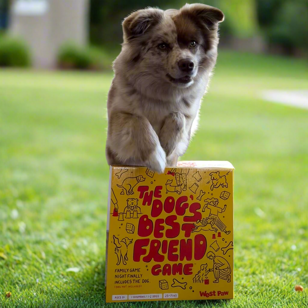 Dog's Best Friend Game