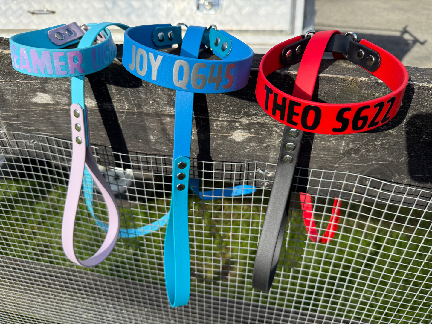 BioThane Martingale Lead - a collar and lead in one!!