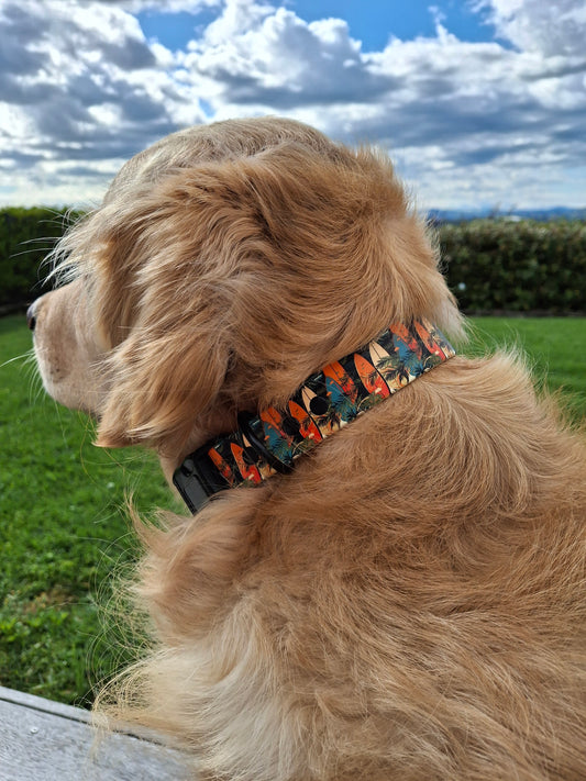 BioThane "Quick Release" Custom UV Printed Dog Collar 🤩