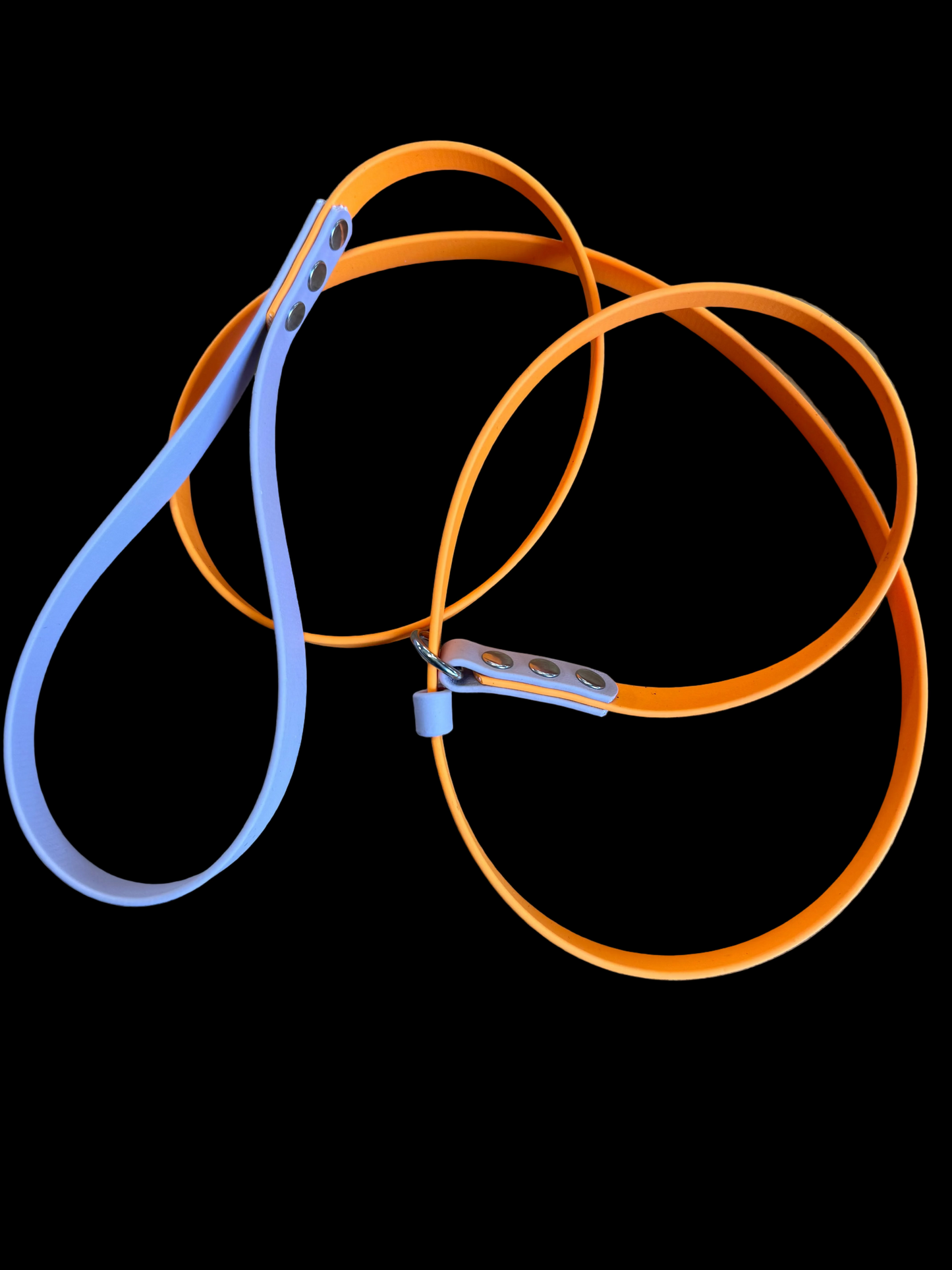 BioThane Dog Slip Lead