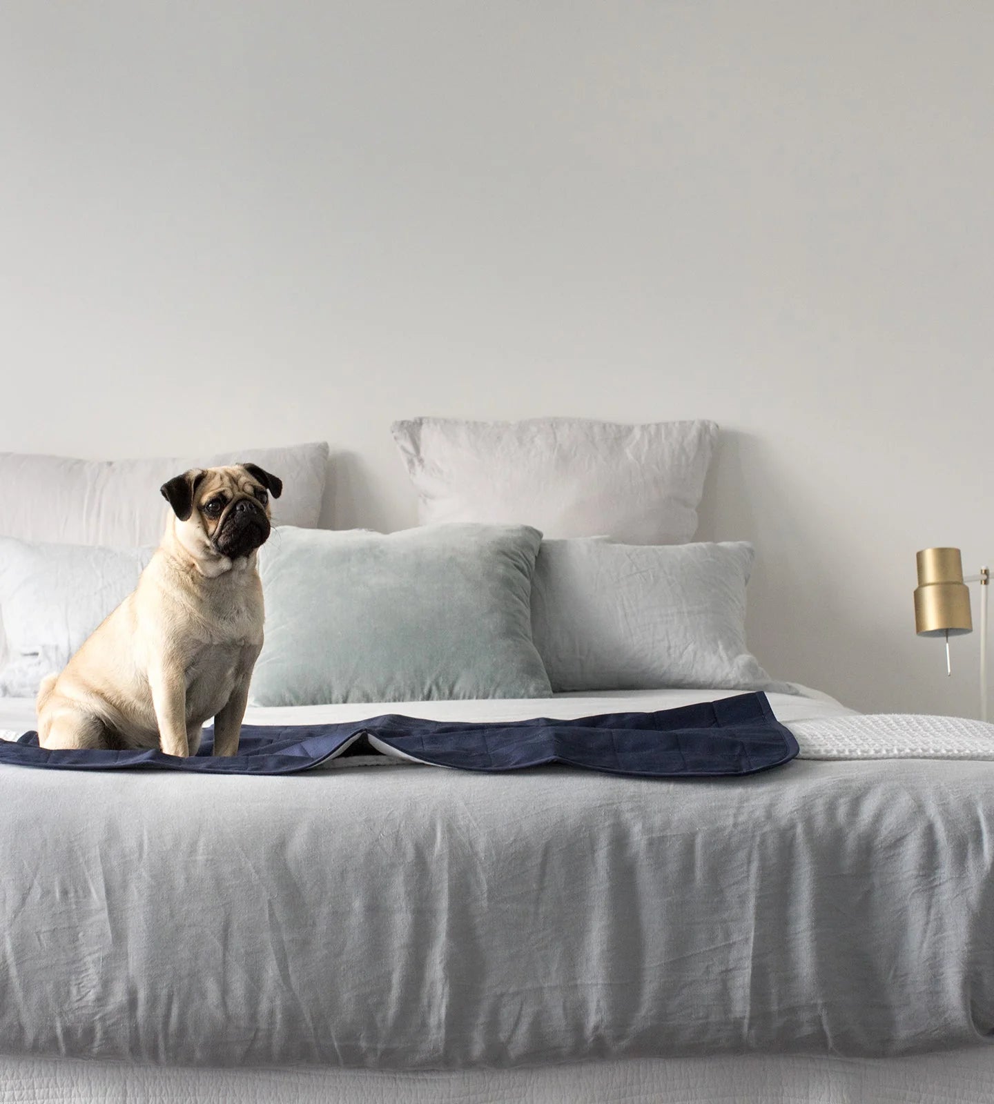 Pet Bed Pad by Brolly Sheets (waterproof)