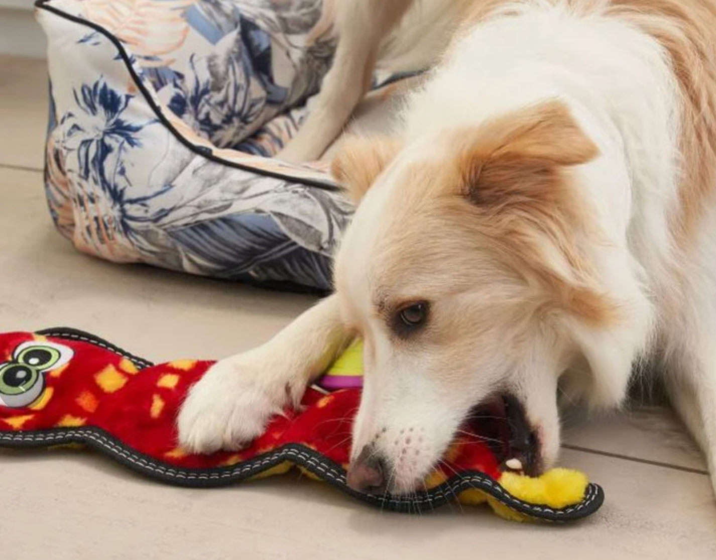 Indestructible dog toys snake deals