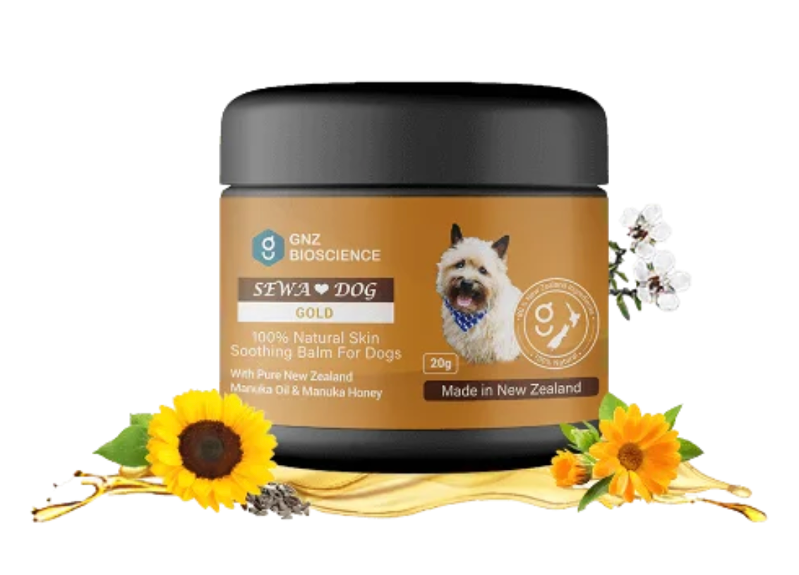 Seva Dog Balm 20g-GNZ Bioscience-Shine Pets