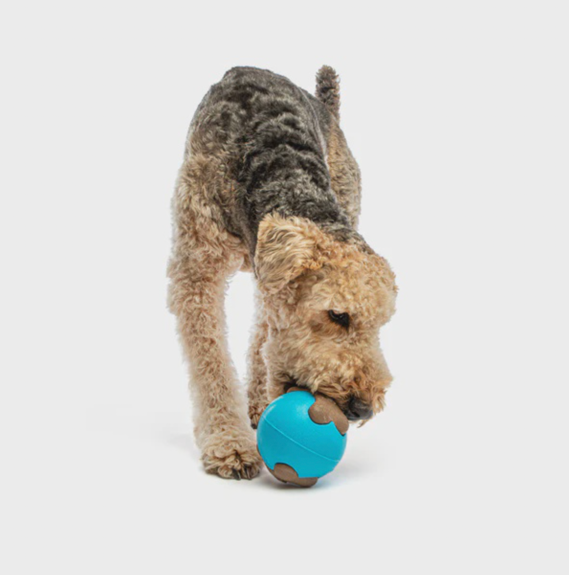 Guru Busy Ball