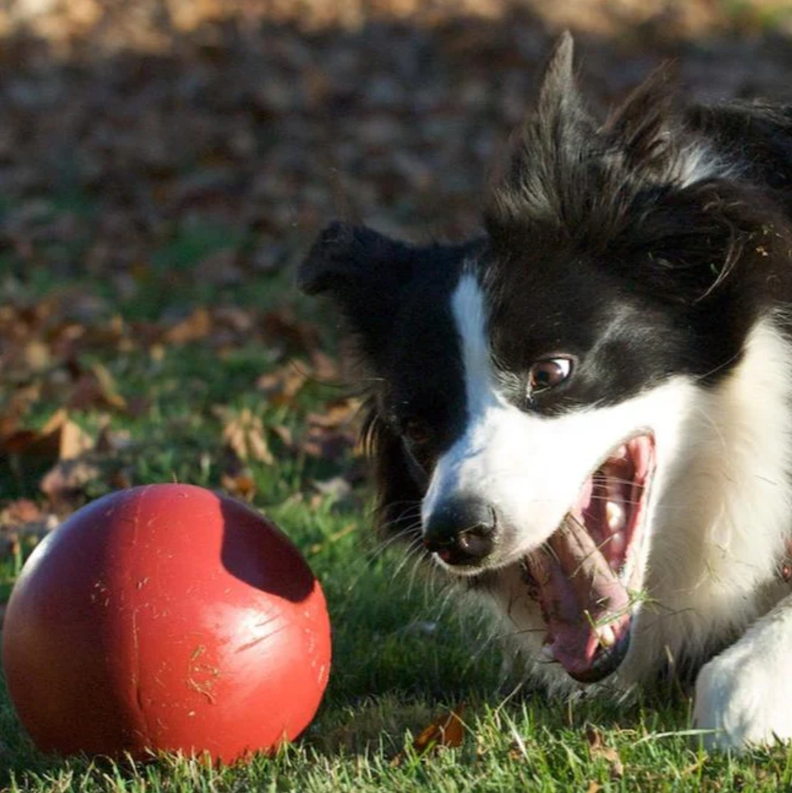 Jolly Ball Push N Play