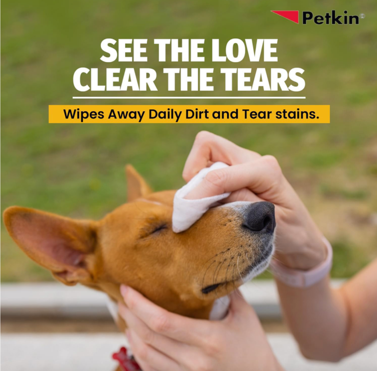Petkin Jumbo Eye Wipes 80pk