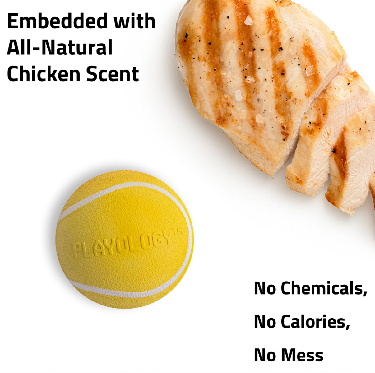 Playology Squeaky Chew Ball