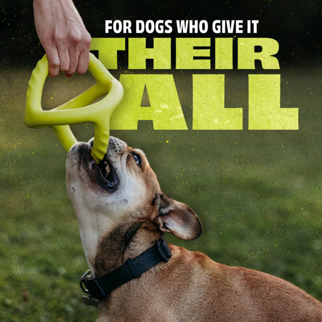 Benebone Bounce Tug