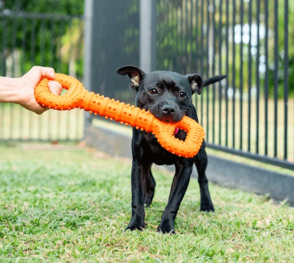 Tommy Tug Handle | Happy Staffy Co Interactive Dog Toy