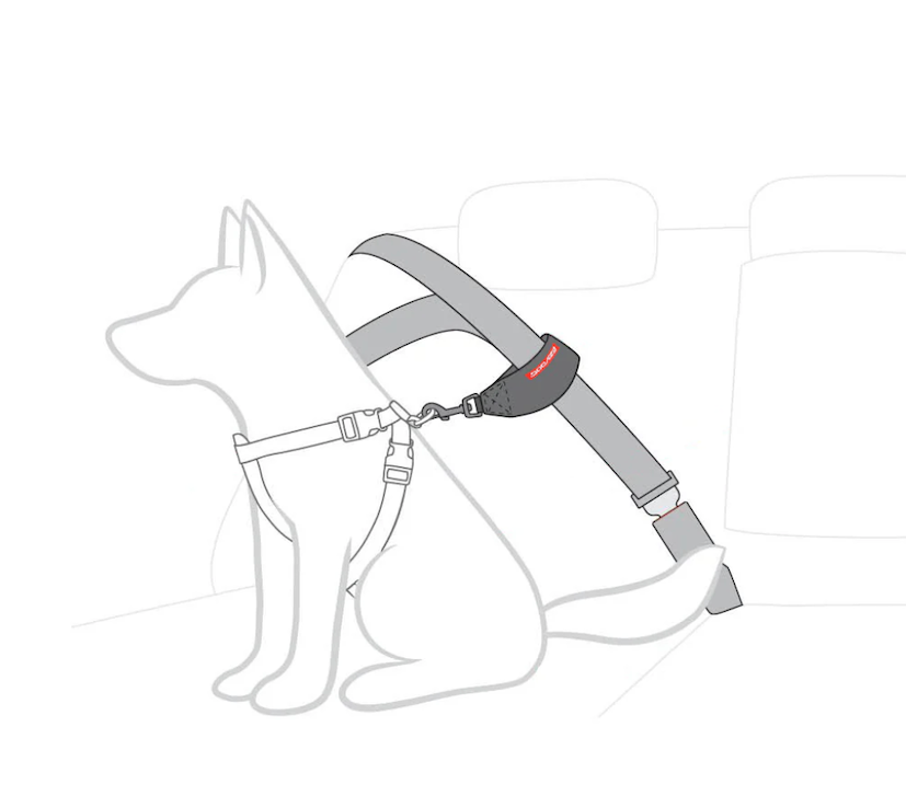 EzyDog Car Seat Attachment