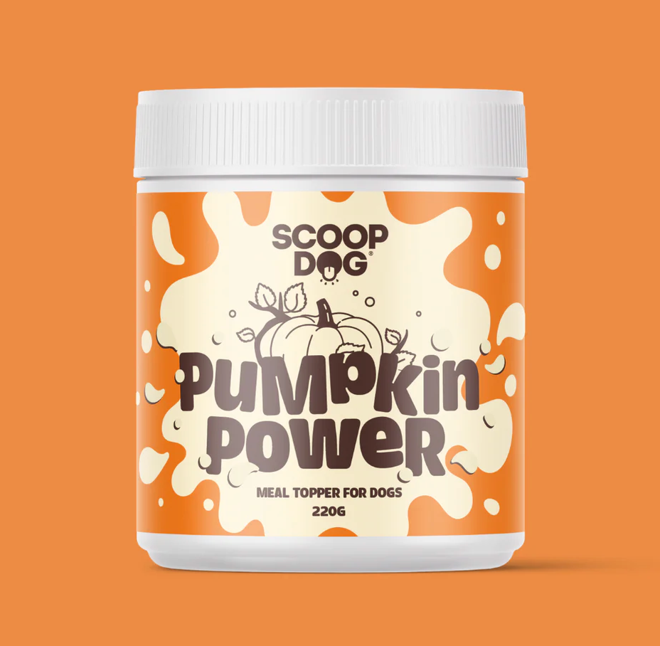 Scoop Dog Pumpkin Power