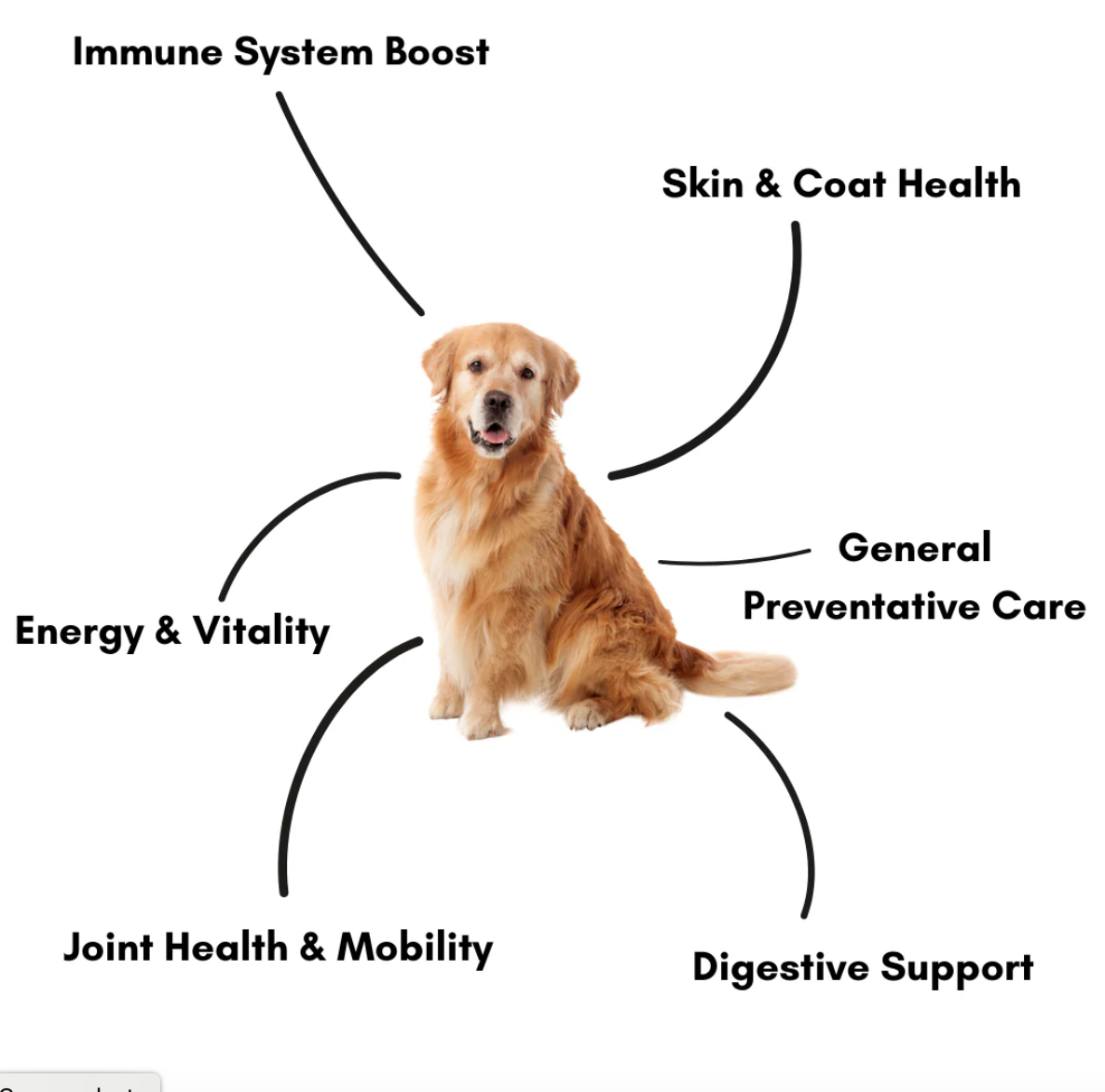 Pawsome Nutrition Complete Canine 200g – Dog Supplement