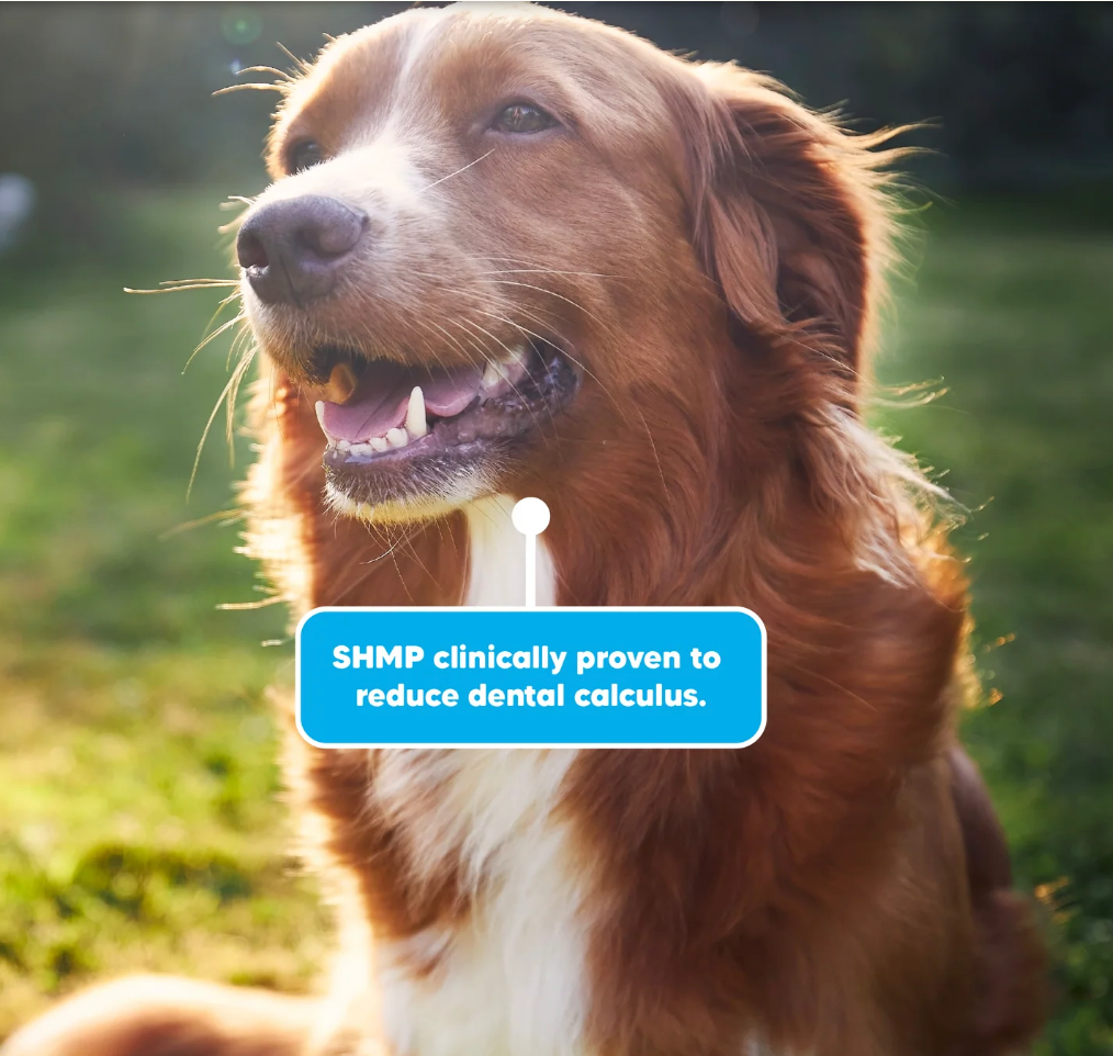 Vetafarm Lovebite Chew Dentashield