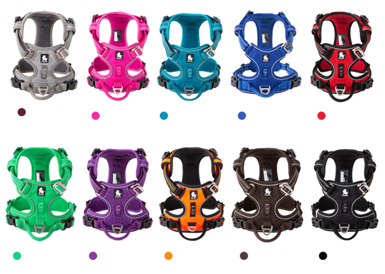Adjustable Dog Harness - True Love