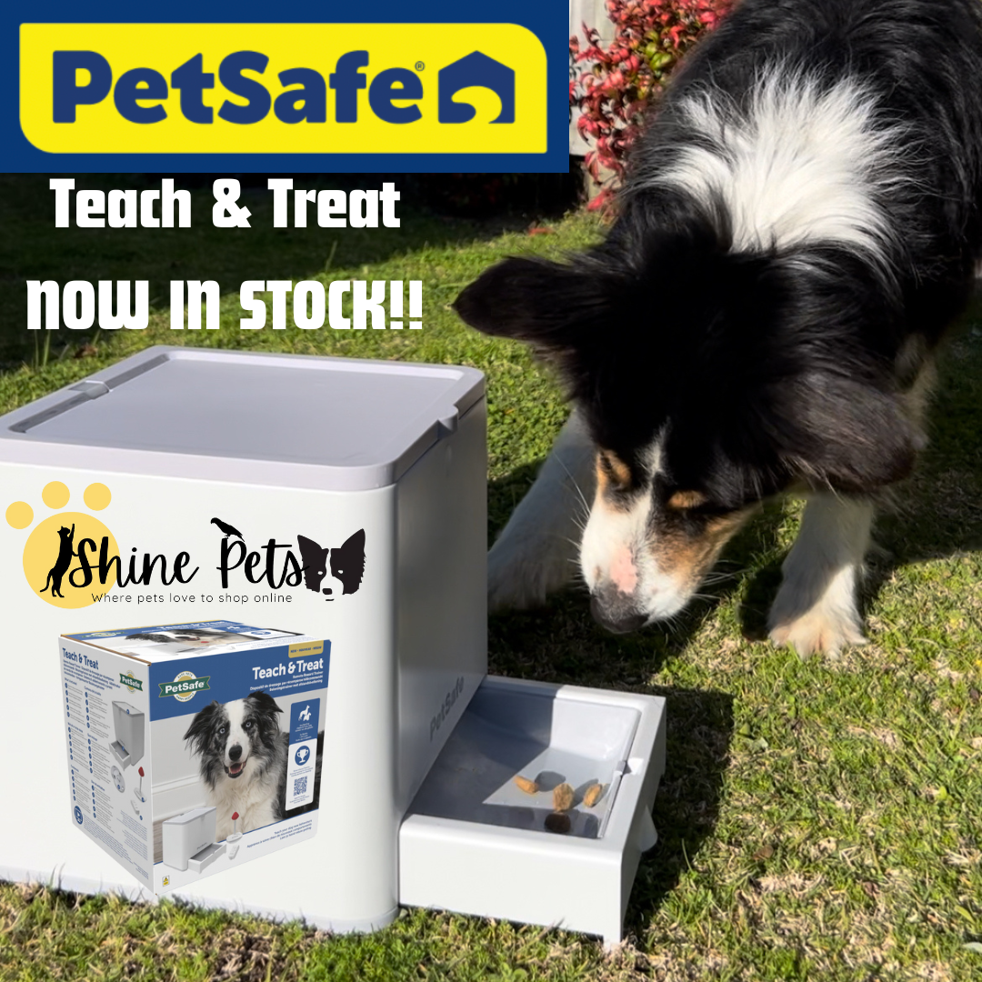 PetSafe Teach & Treat Remote Reward Trainer System| Shine Pets PetSafe Teach & Treat Remote Reward Trainer System| Shine Pets