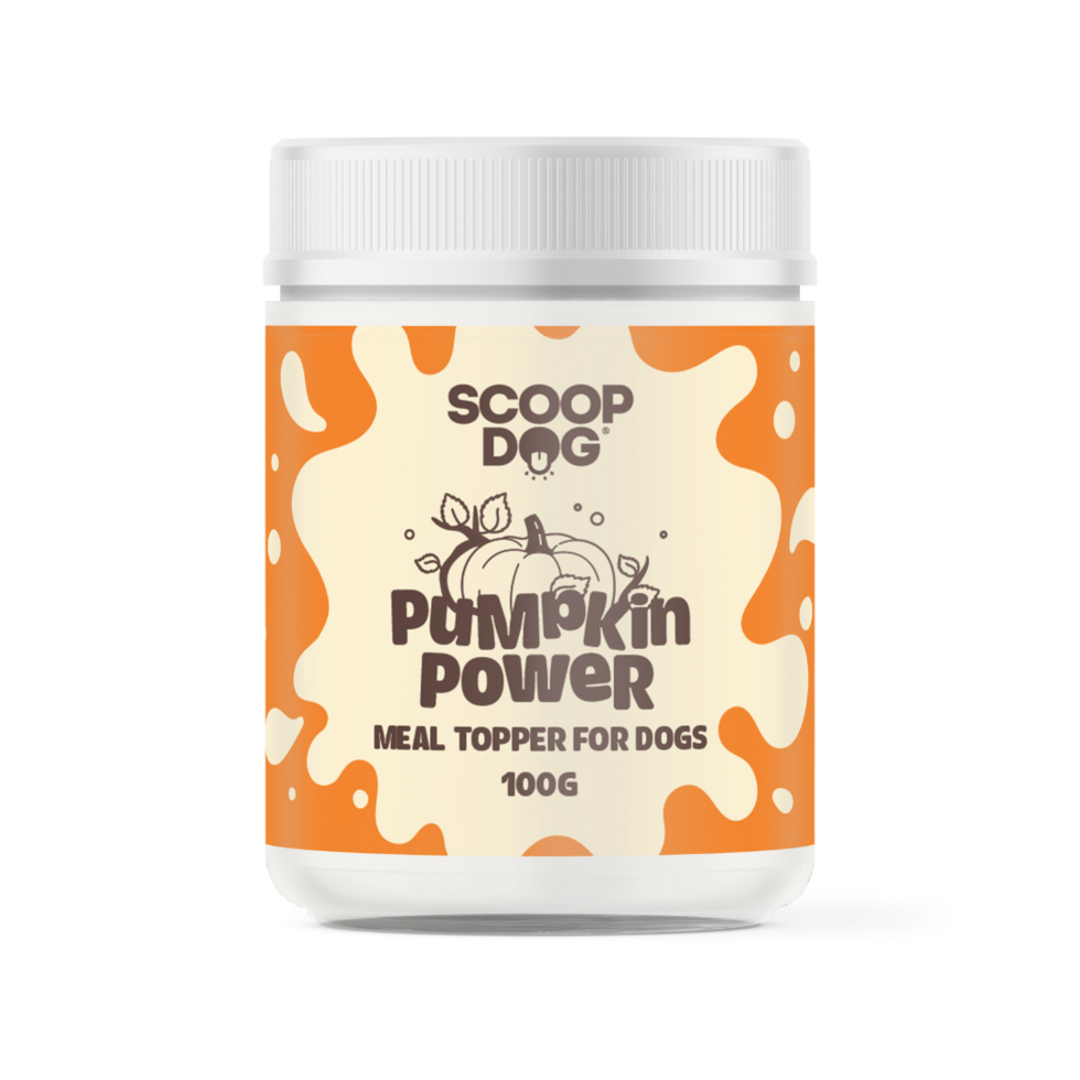 Scoop Dog Pumpkin Power