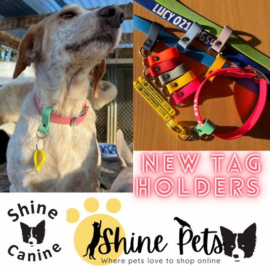 BioThane Collar Tag Holder-Accessories-Shine Canine-13mm (collar width)-13mm (tag holder width)-Shine Pets