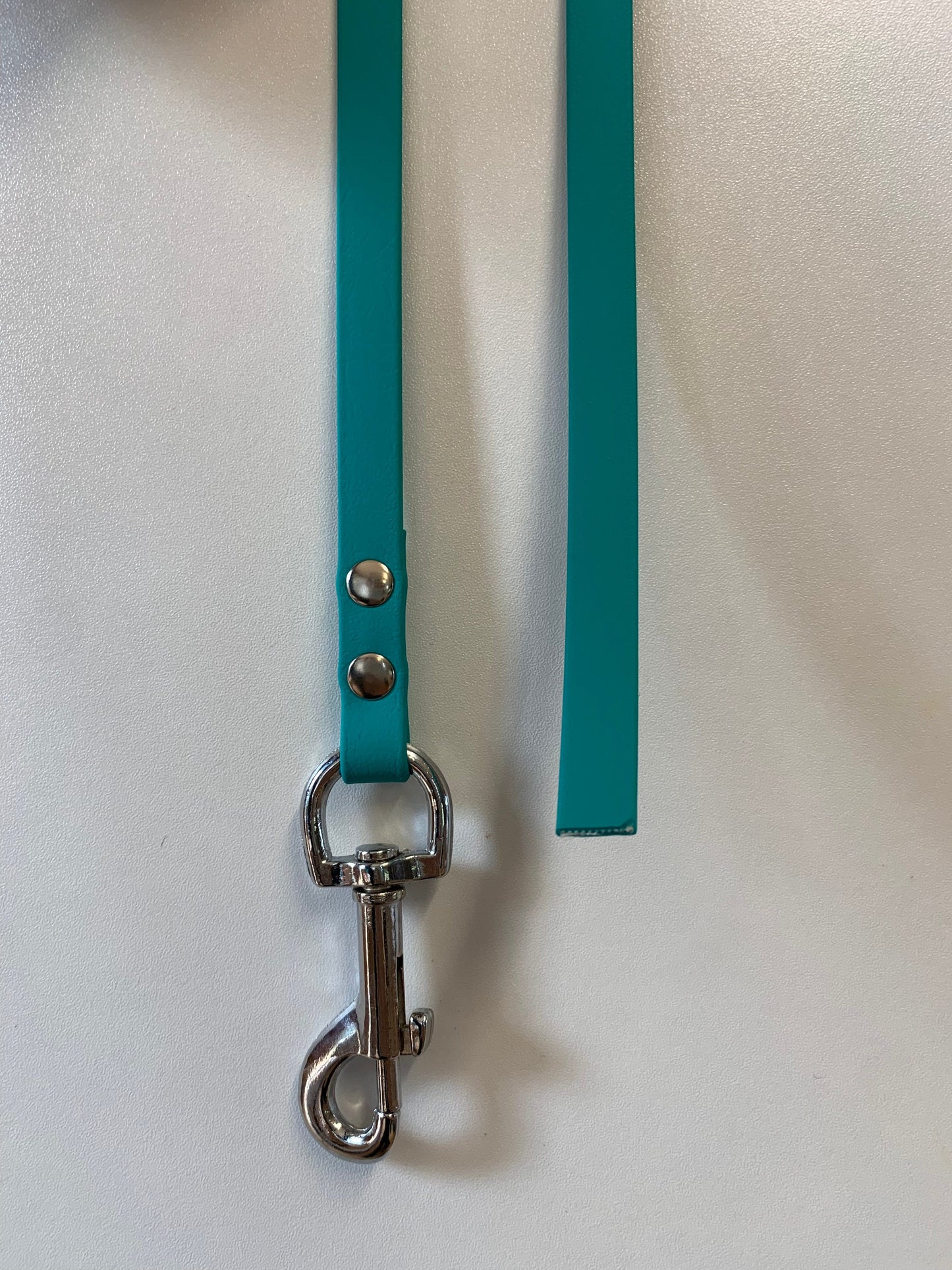 BioThane "Catch" Dog Lead (13mm)
