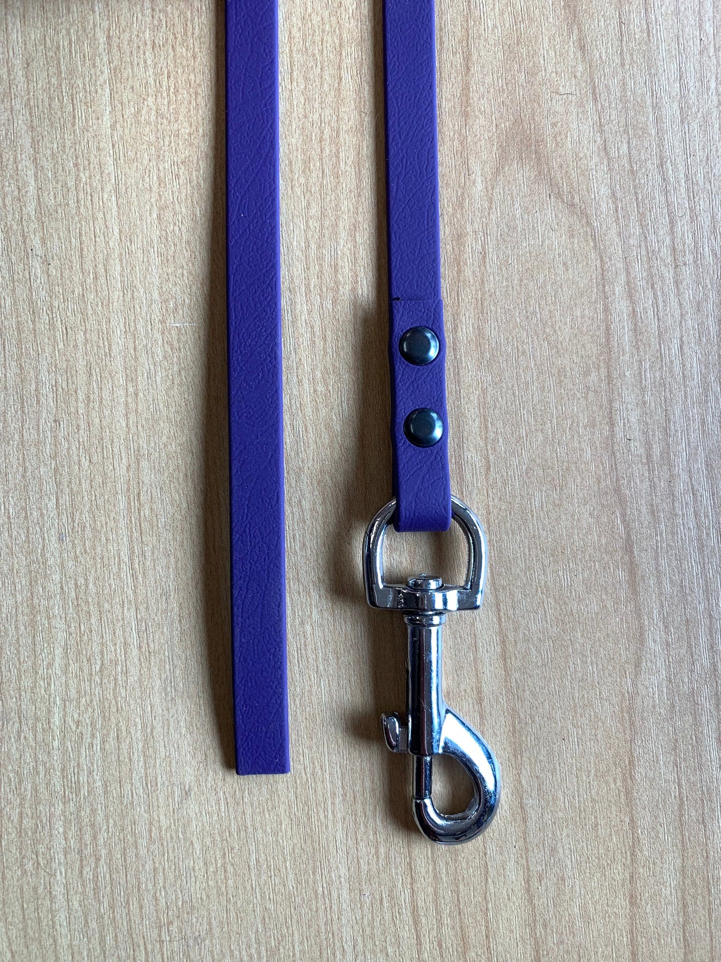 BioThane "Catch" Dog Lead (13mm)