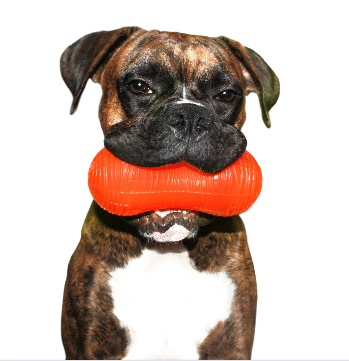 Ruff Dawg Peanut Crunch