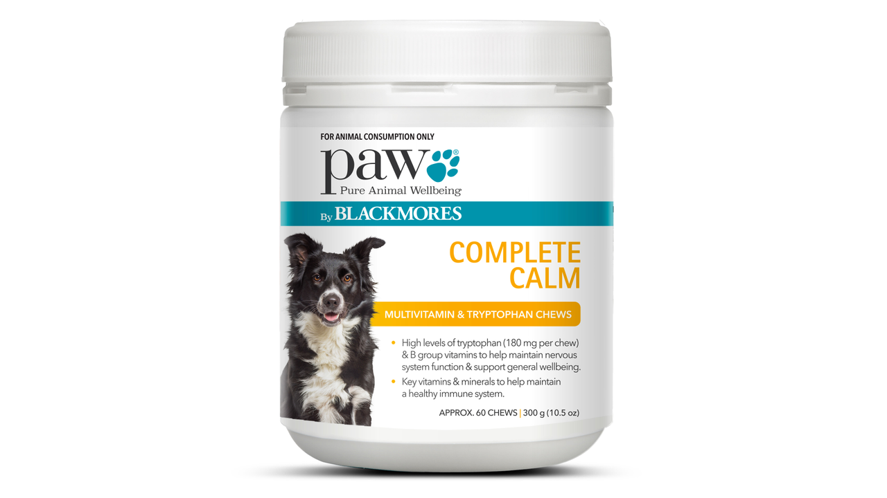 PAW Complete Calm (by Blackmores) Dog Supplement-Health-Brooklands-Small Dog (75g)-Shine Pets