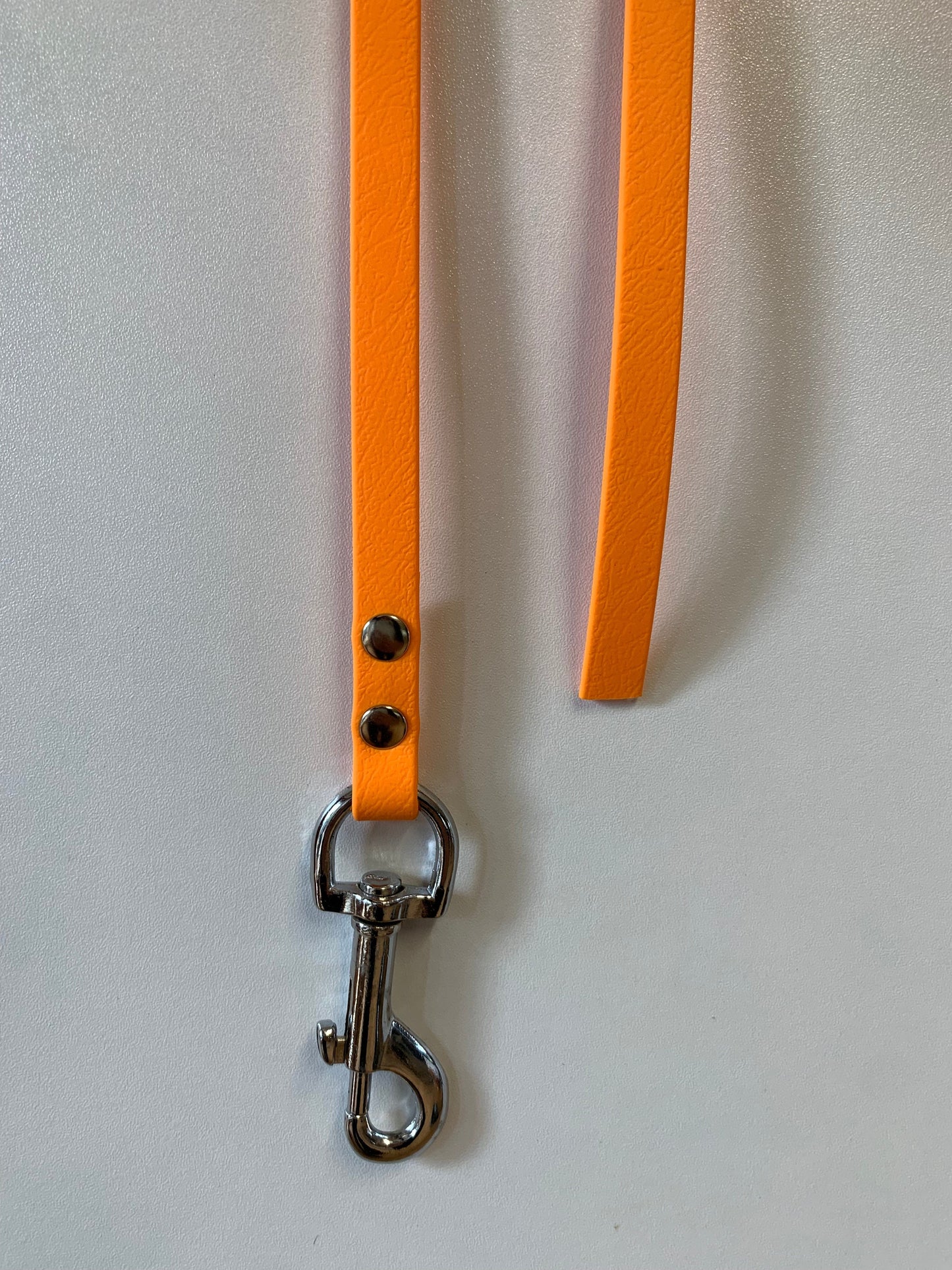 BioThane "Catch" Dog Lead (13mm)