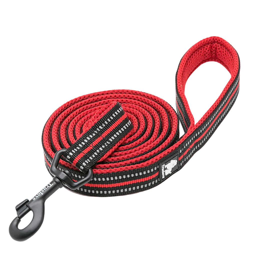 Reflective Dog Leash - True Love