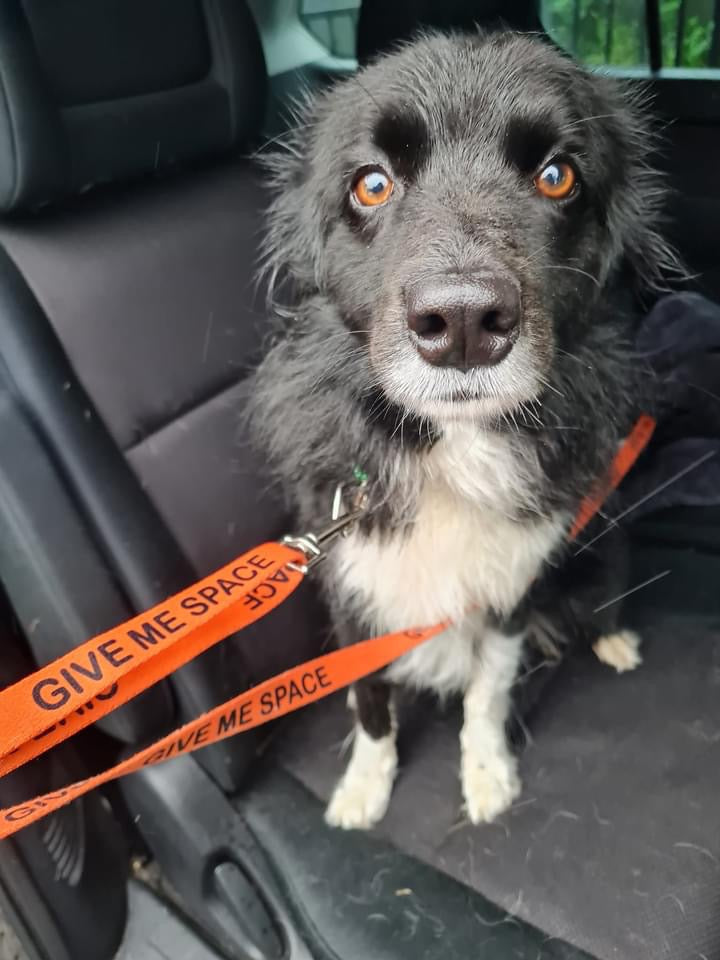 “GIVE ME SPACE” Lead