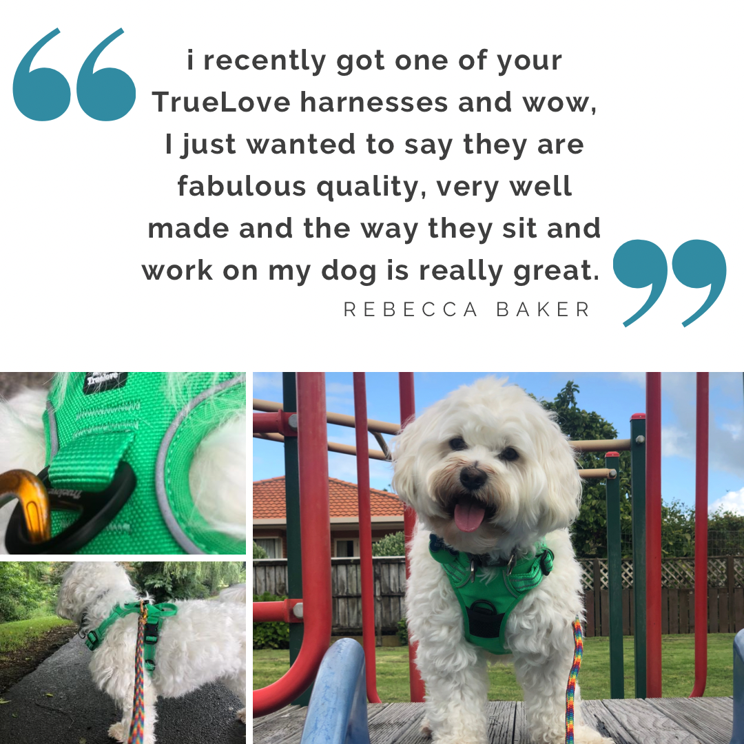 Adjustable Dog Harness - True Love