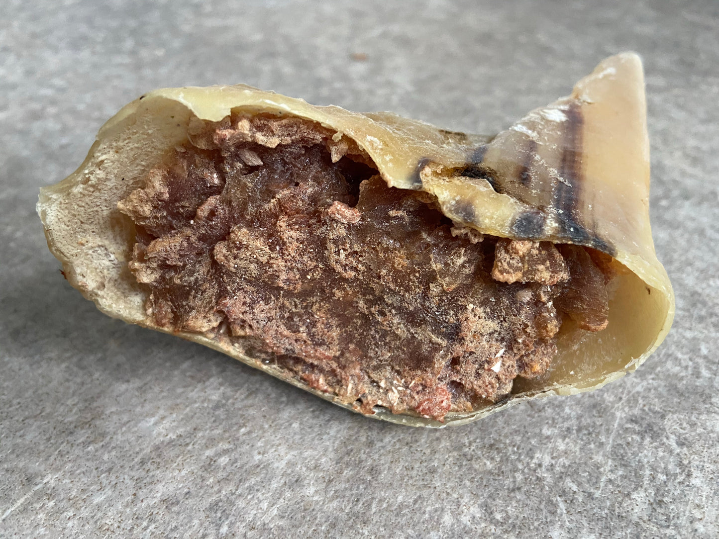 Cattle/Cow Hoof/Hooves