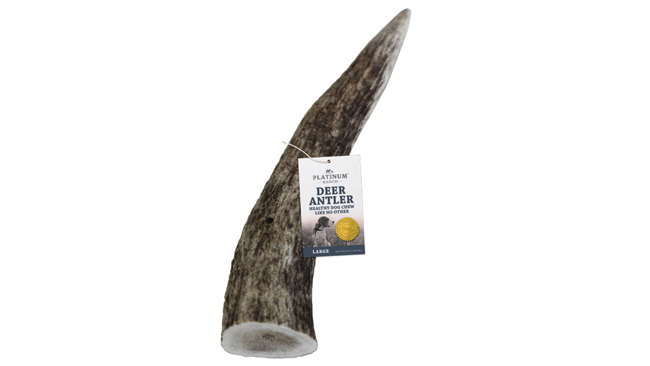 Deer Antler