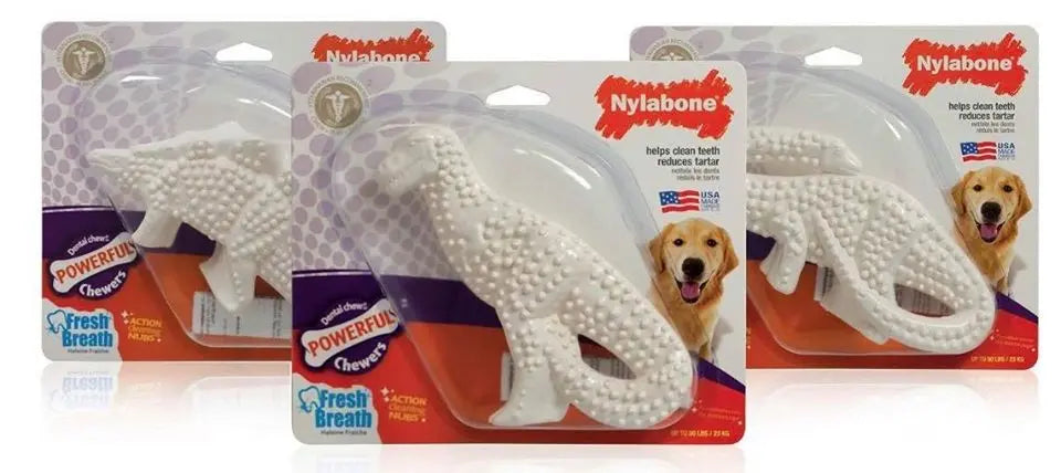 Nylabone Dental Chew - Dinosaur-Chew-Brooklands-Shine Pets