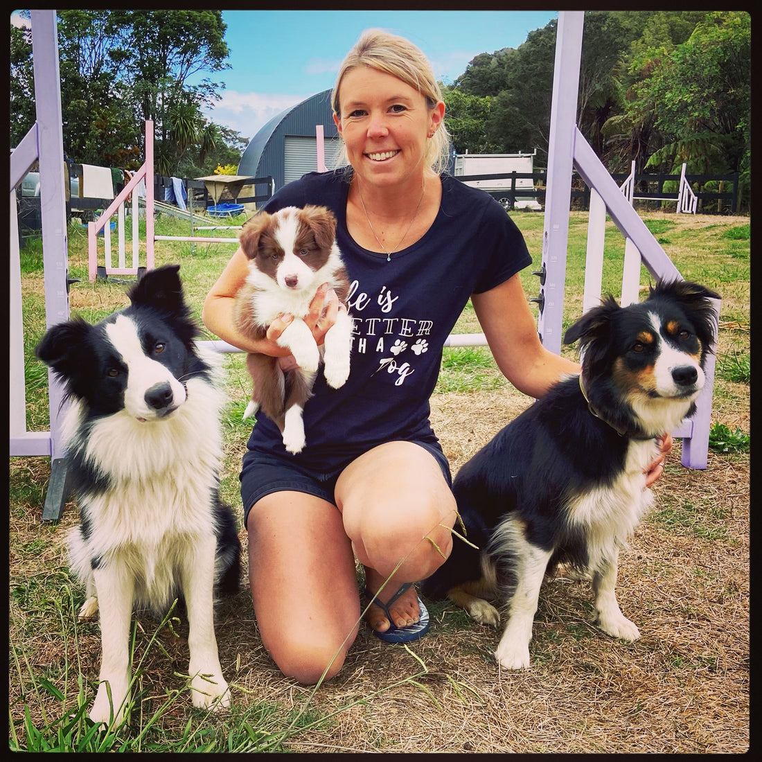 Why health testing matters before breeding dogs