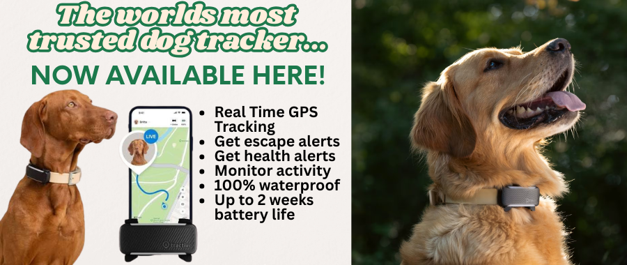 Tractive GPS Dog Tracker: What Is It and Is It Worth It?