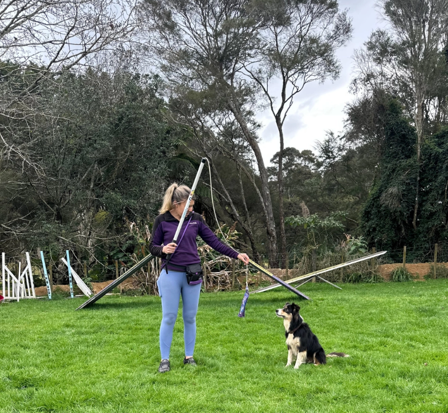 Flirt Poles: More Than Just a Toy – Give Your Dog’s Natural Instincts an Outlet!