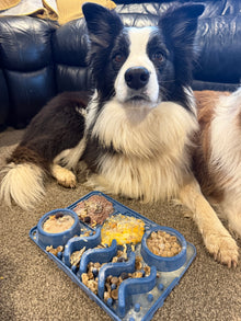 Waggin' Tails Slow Feeder Bento Mat