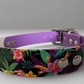 BioThane Custom Buckle UV Printed Dog Collar WITH ACCENT 🤩