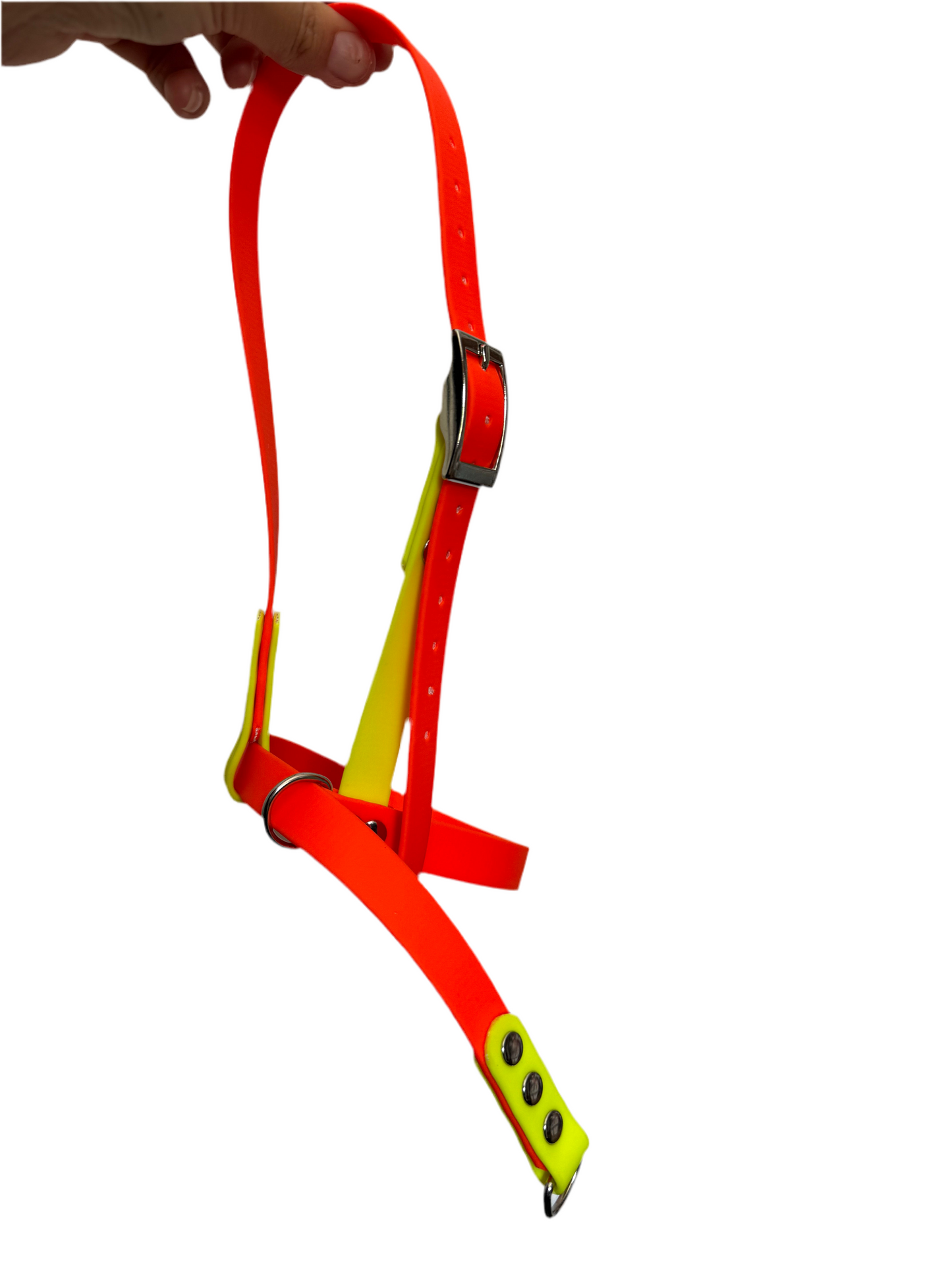 BioThane CALF Halter (custom made & waterproof)