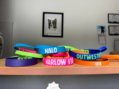 BioThane Martingale Lead - a collar and lead in one!!