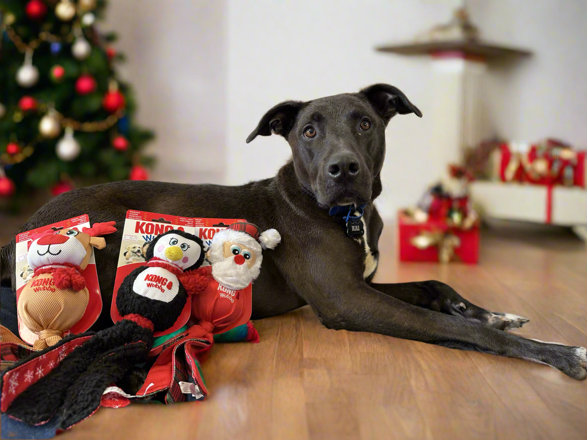 KONG Holiday Wubba (assorted)