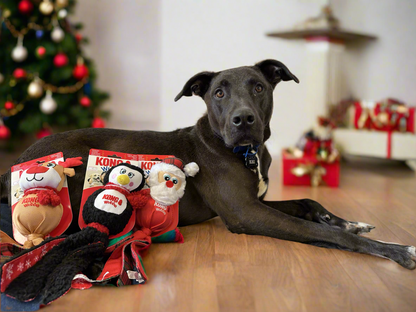 KONG Holiday Wubba (assorted)